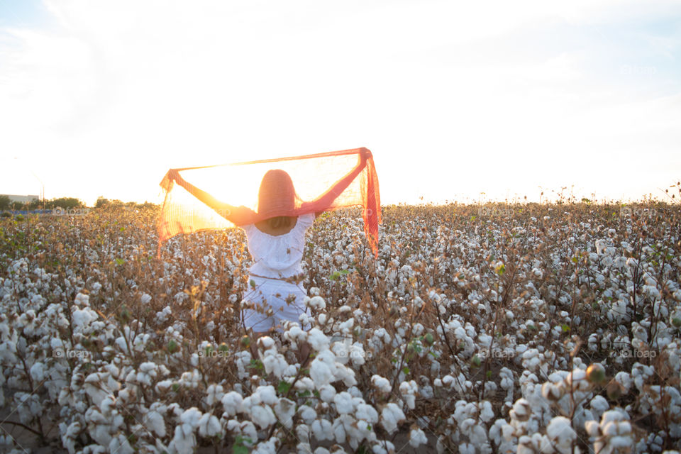 Woman in a cotton field at sunset 