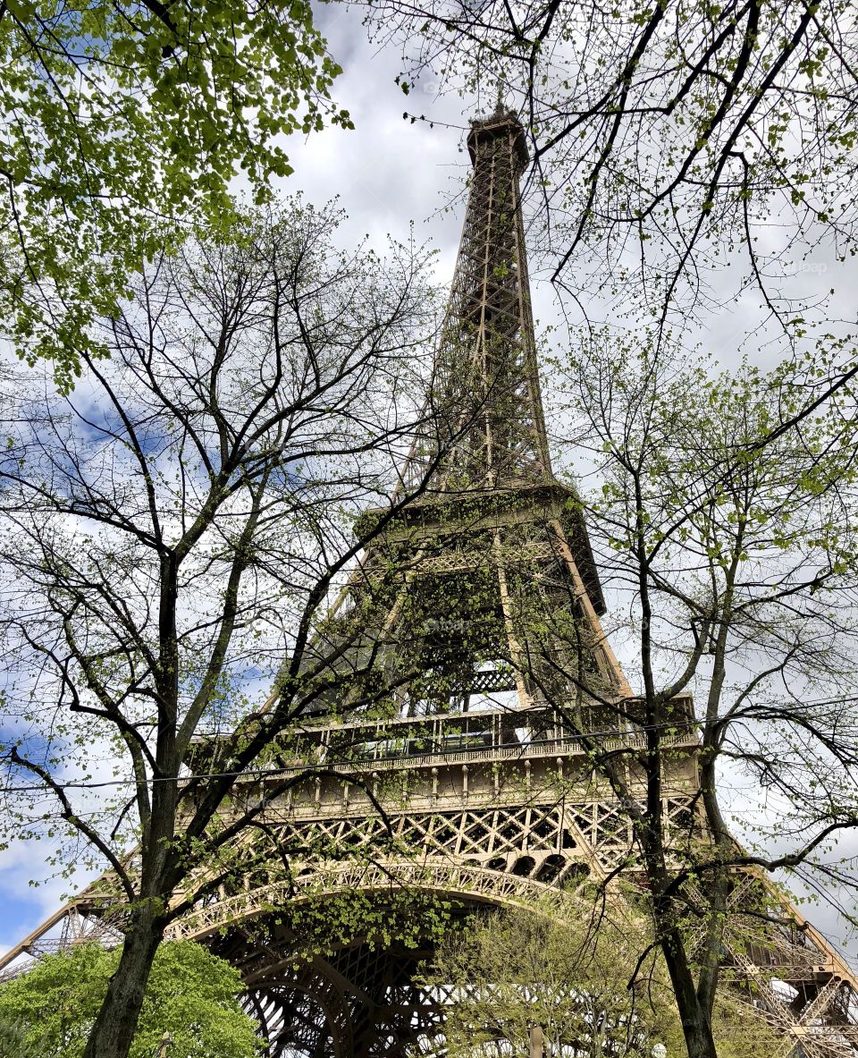 Beautiful spring day in front of the Eiffel Tower in Paris!