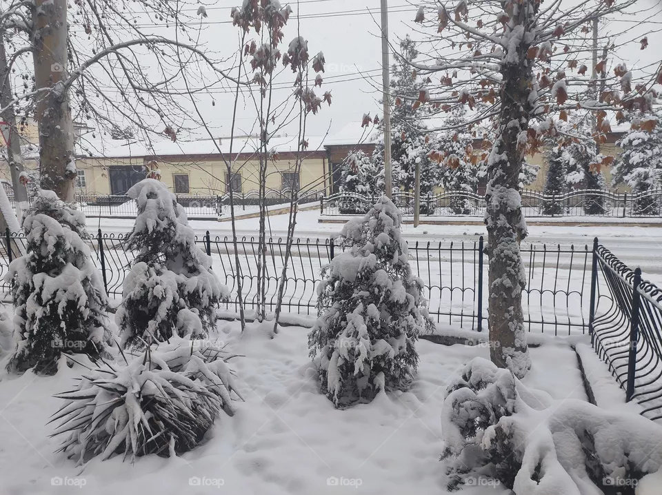 Snow