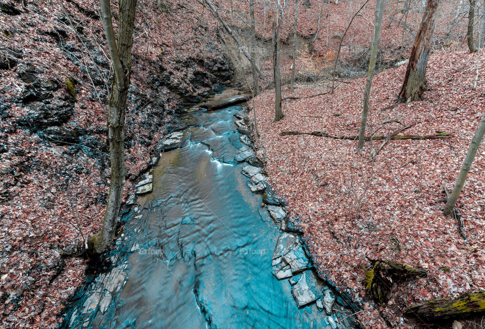 creek in the woods