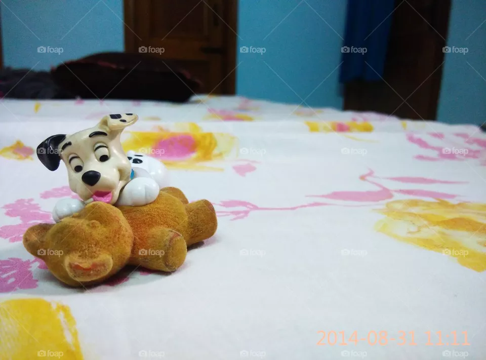 dog