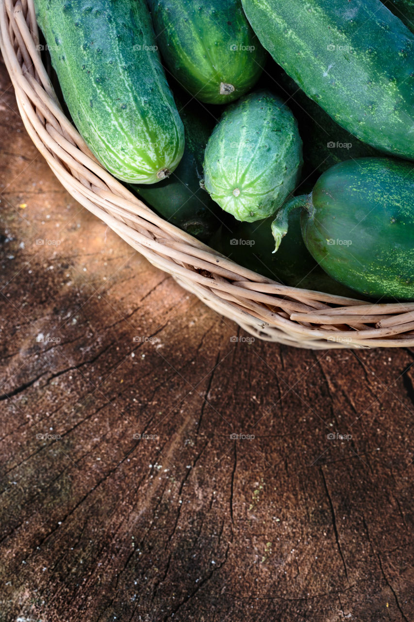 Cucumbers in the wicker basket. Cucumbers in the wicker basket