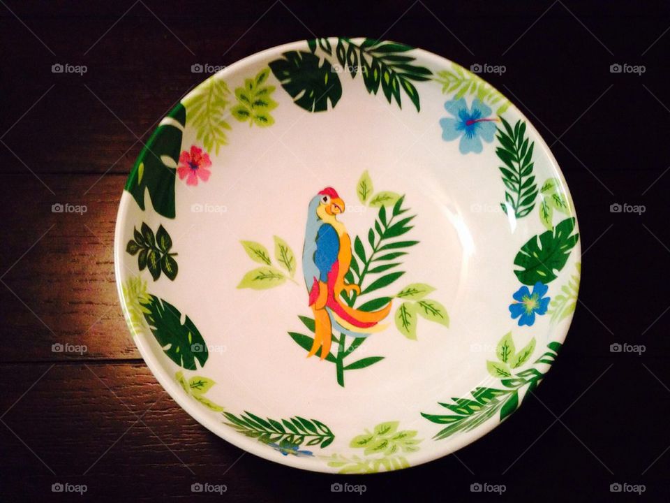 Parrot bowl