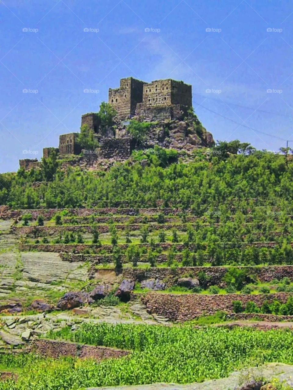Glory be to God, the magnificent and picturesque view and the natural green trees are a view that is nothing more wonderful than it