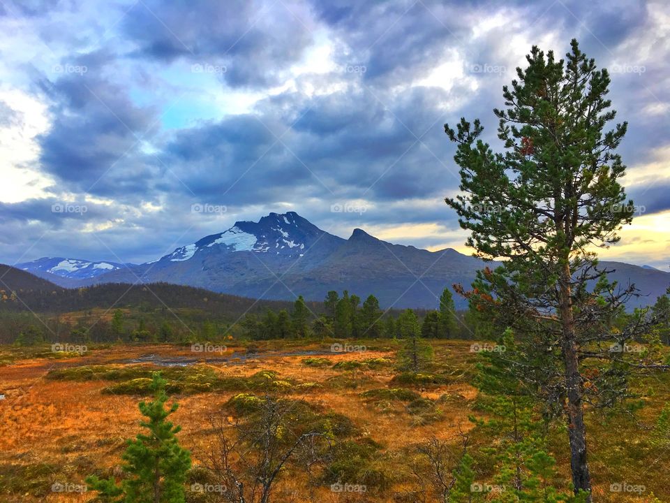 Ankenesfjellet, Narvik - autumn