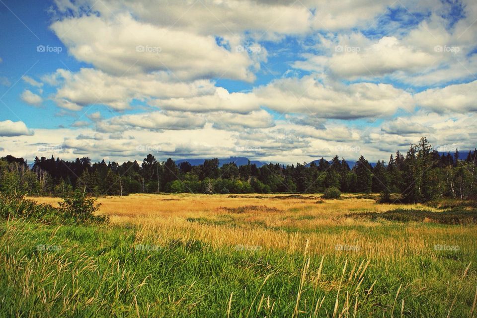 "Life is really simple, but we insist on making it complicated."