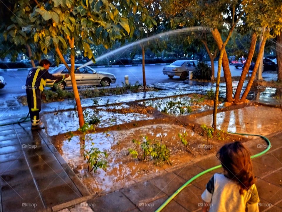 The man who PATS THE TREES every day is immersing the trees in the water as if he is treating their tired bodies with hydrotherapy  so that they will shine again for the passers-by another day.the courious kid is surprised too