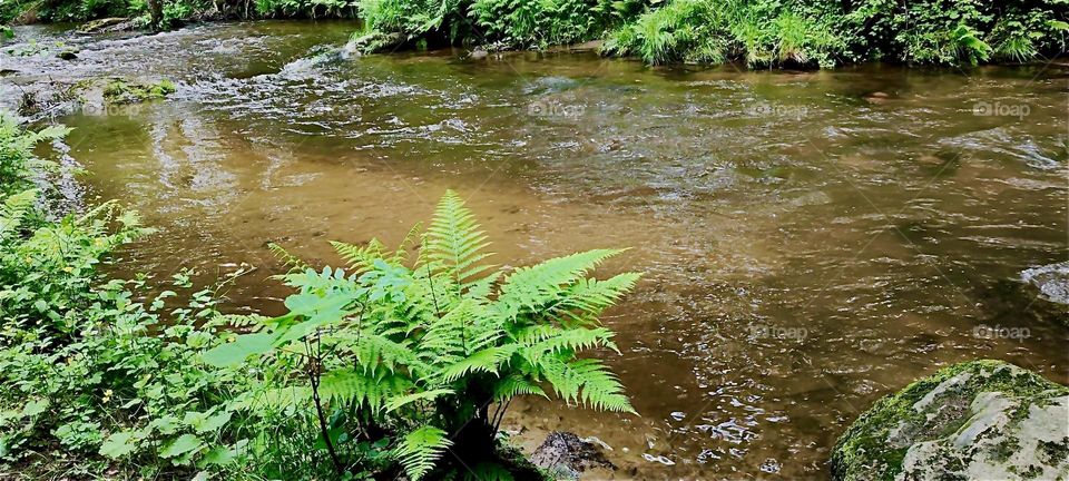 This is the „Perlbachtal“, the „Pearly Brook Valley“ near the small town of „Steinburg“ in „Bavaria“, Germany. The brook travels through the valley at noticeable speed. 2024. Hypnotic Productions
