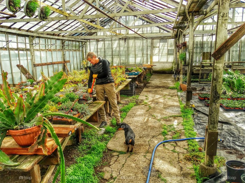 Working In A Greenhouse