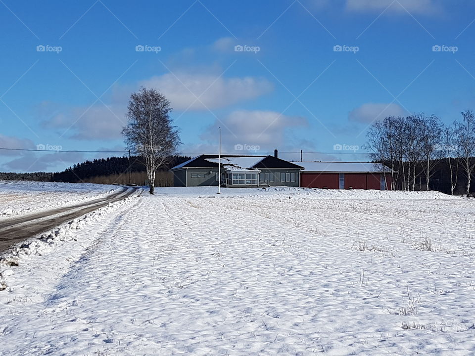 snow
road
winter
house