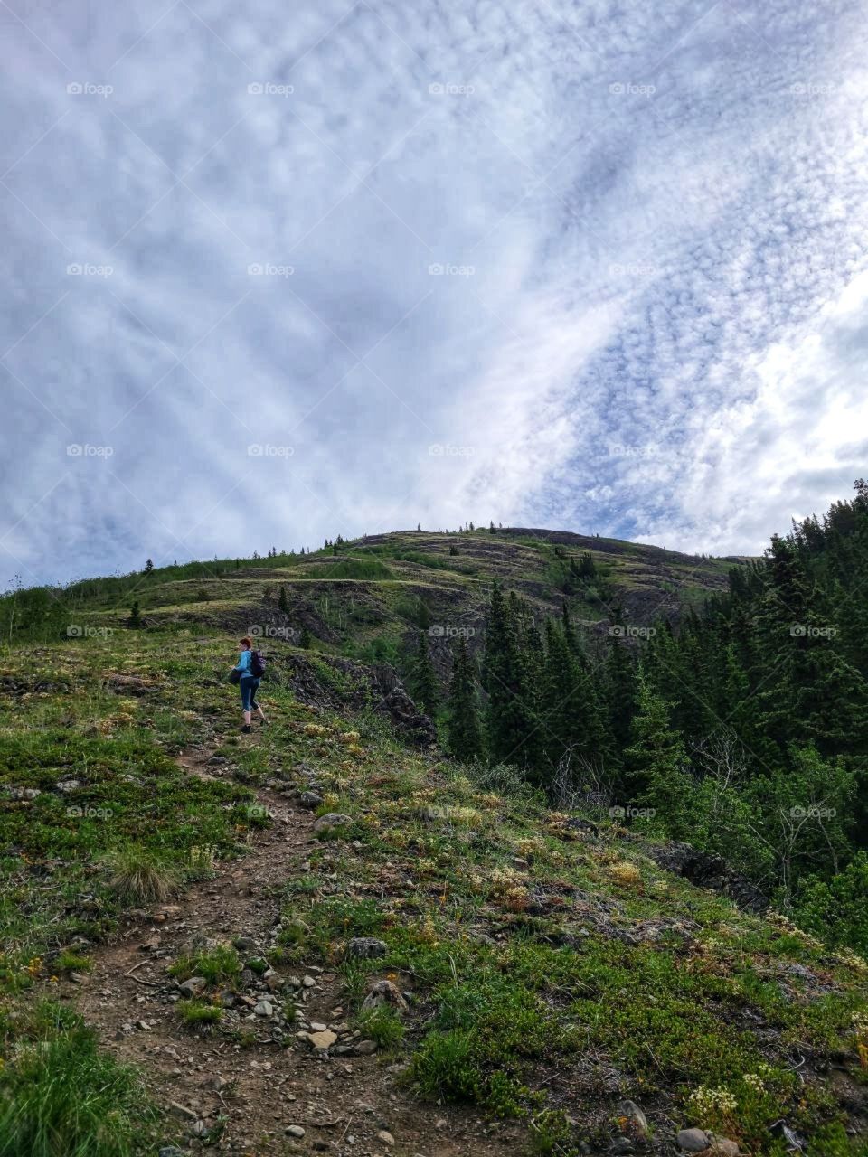 Following the path around to the ridge