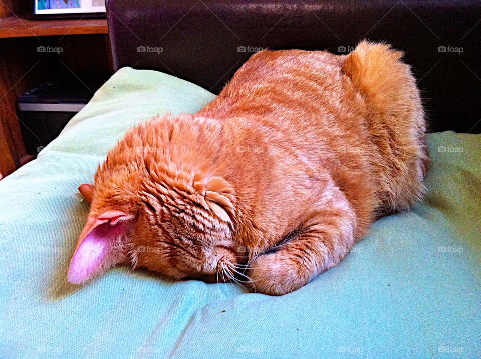 Lazy days! 