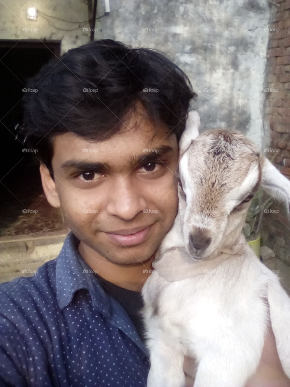 with baby goat