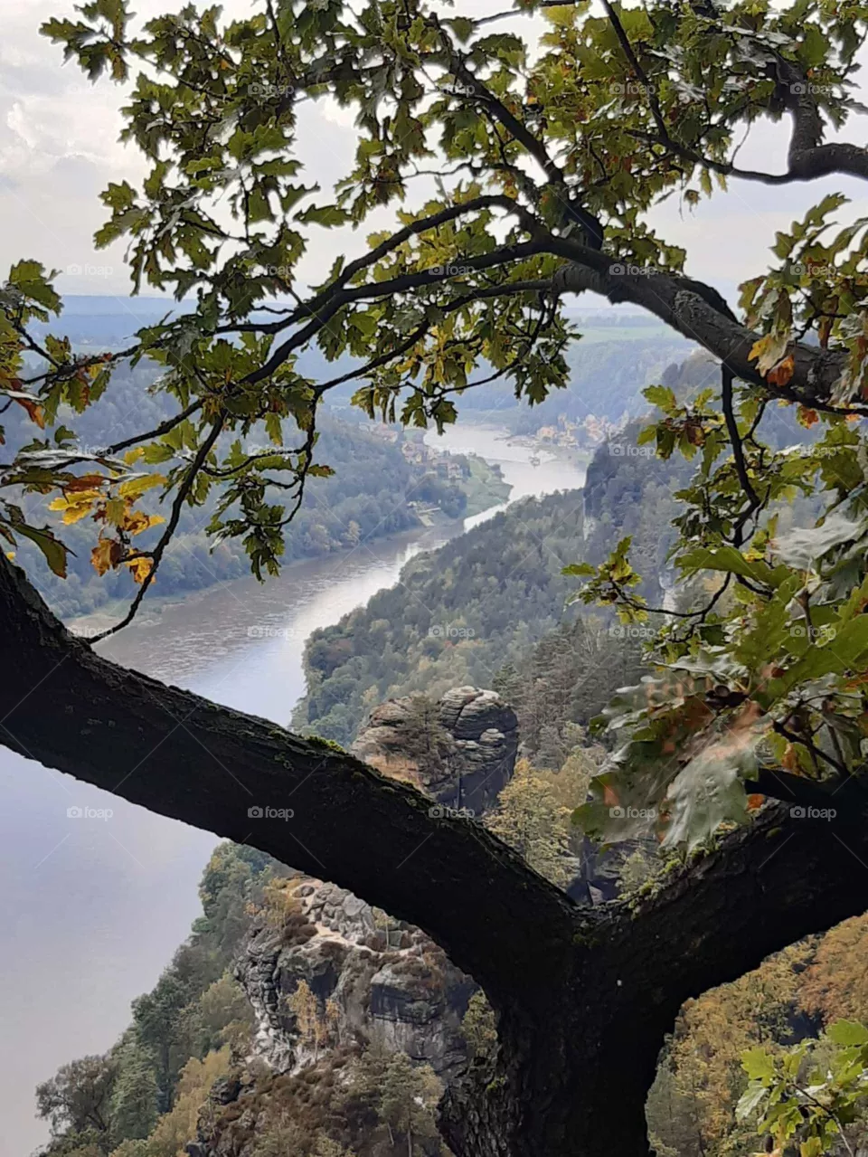 Bastei
