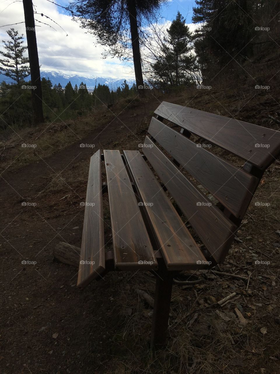 Bench