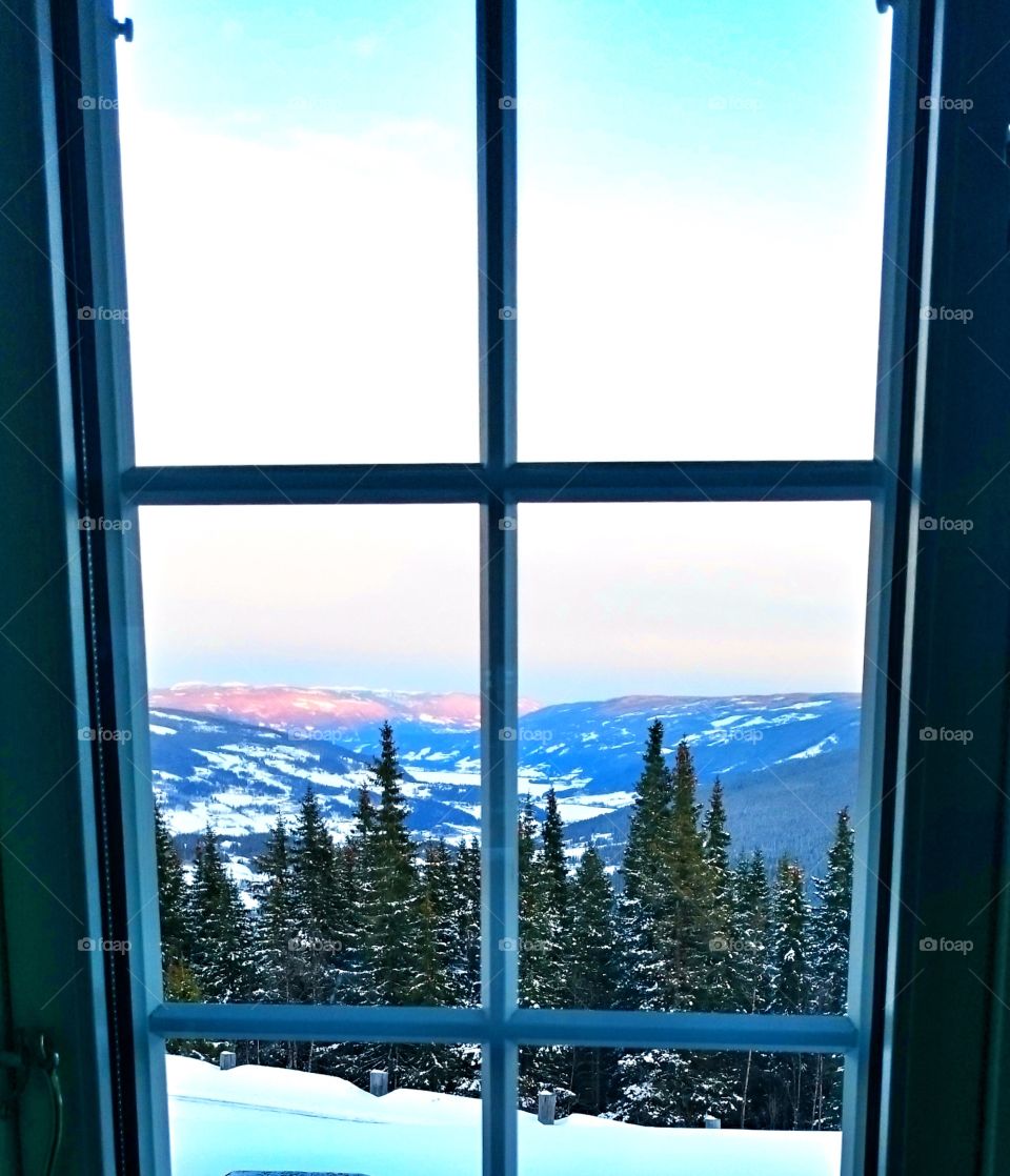 View of mountain and trees from window