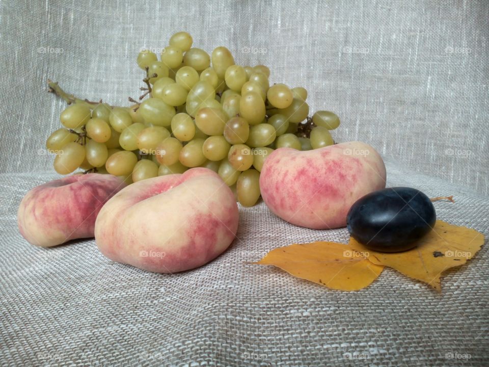 fruits still life