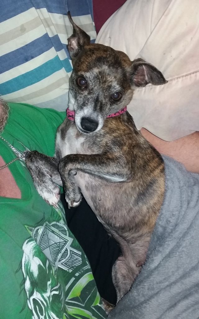 My sweet little girl