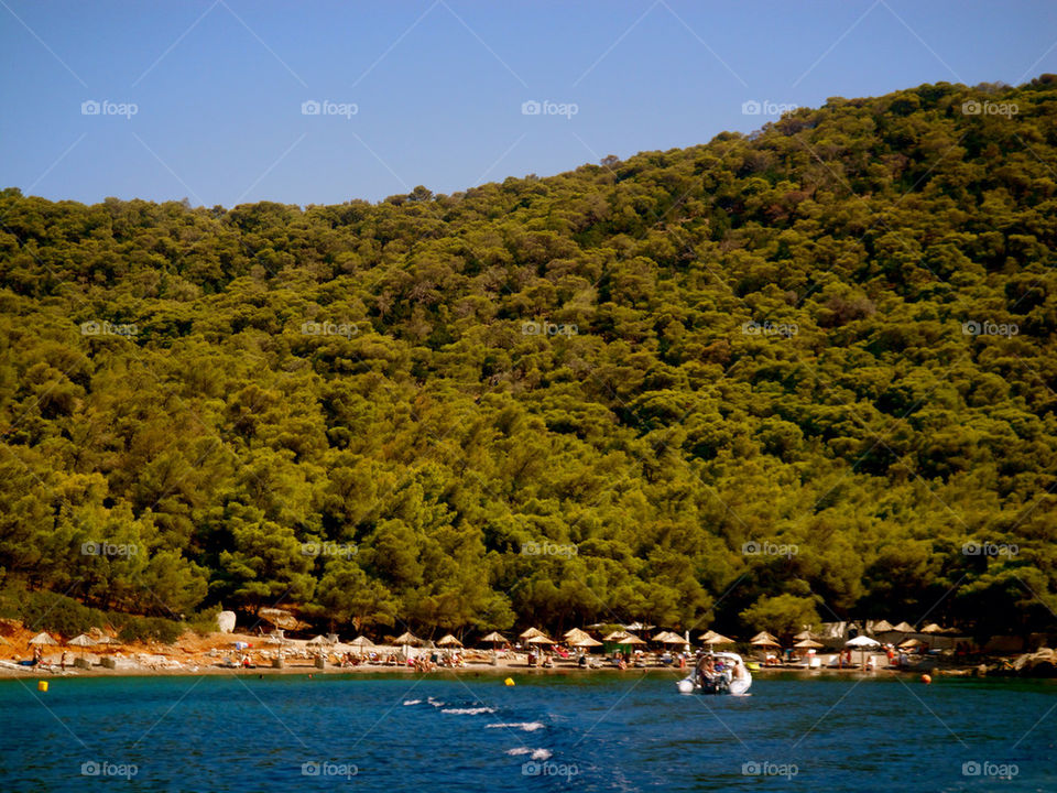 green trees sea swim by k_thalia