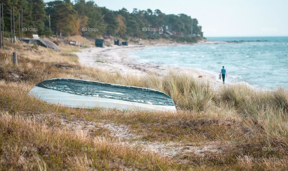 Landscape photo of nature at beach or seaside