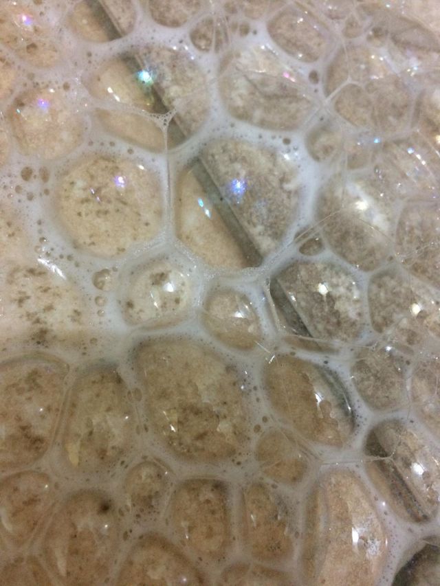 Soap Bubbles 