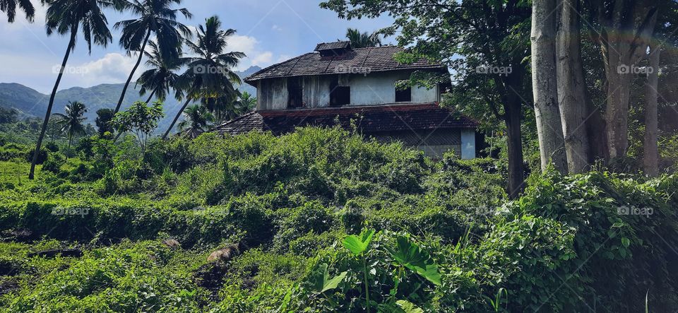 Abondont Haunted house on the mountain,,surrounded with green nature