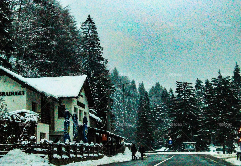 winter