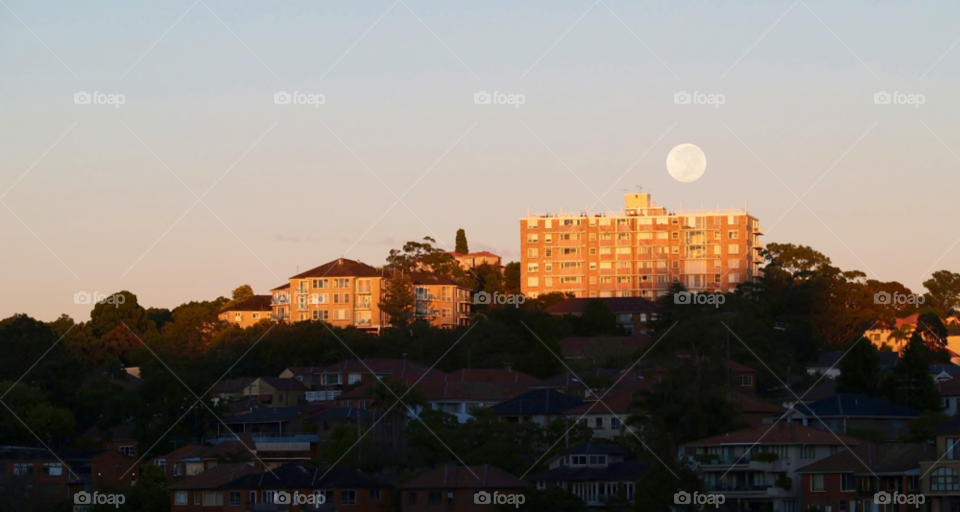 light flats hill afternoon by botie2