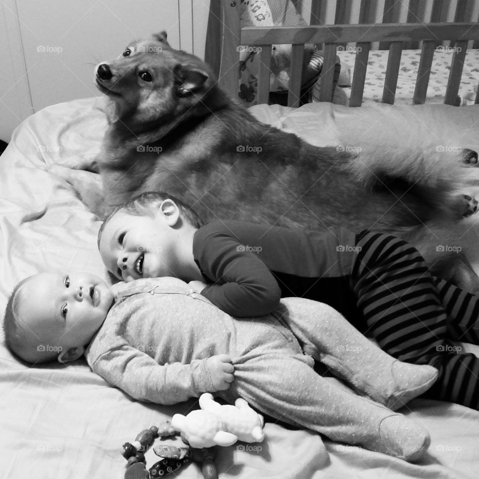 Sibling puppy love. Our bed is always like like a party, and these three are always there having having a blast. My son, daughter, and our dog.