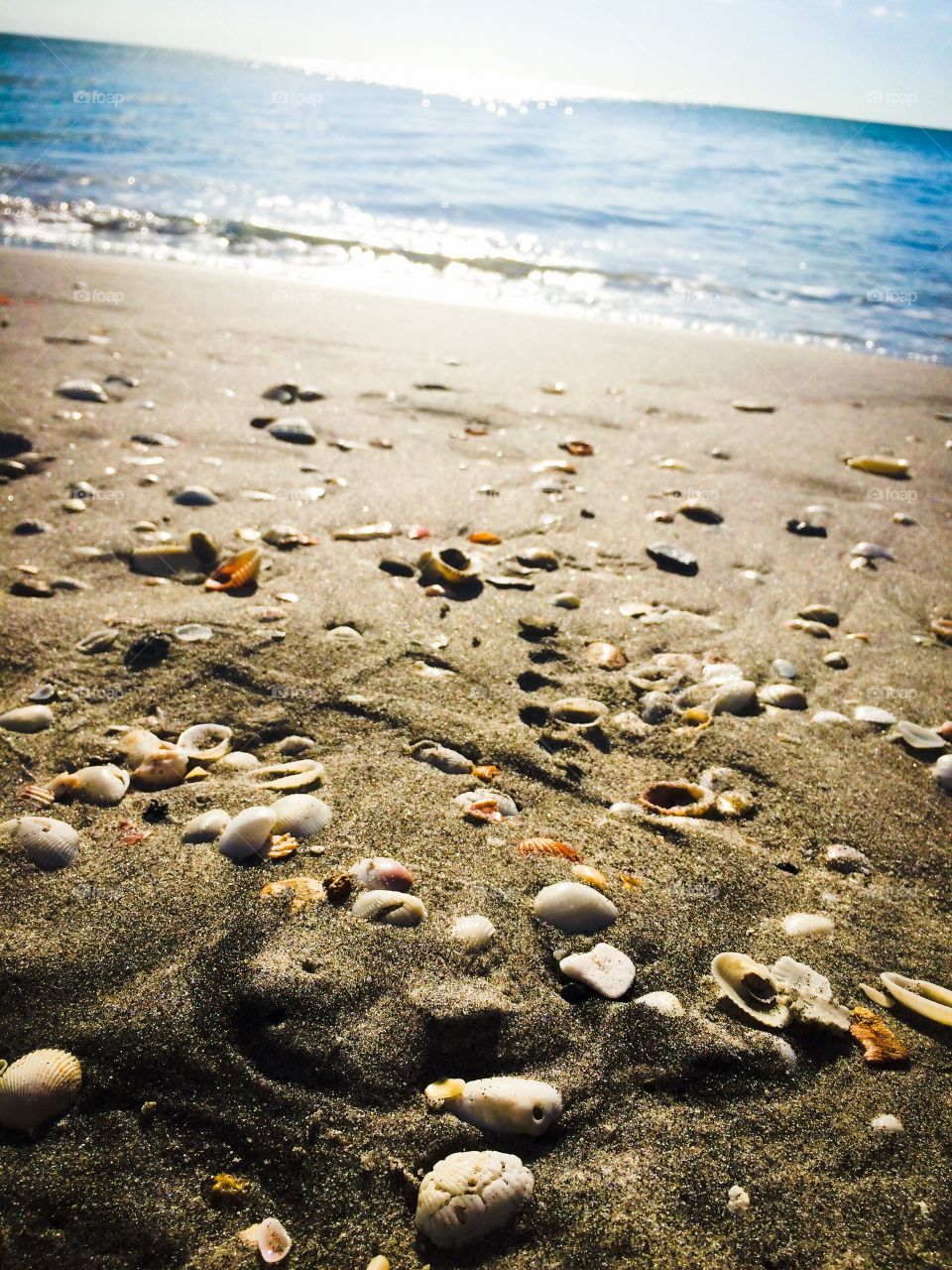 Afternoon at the beach. Thanksgiving at the beach in Englewood, Florida