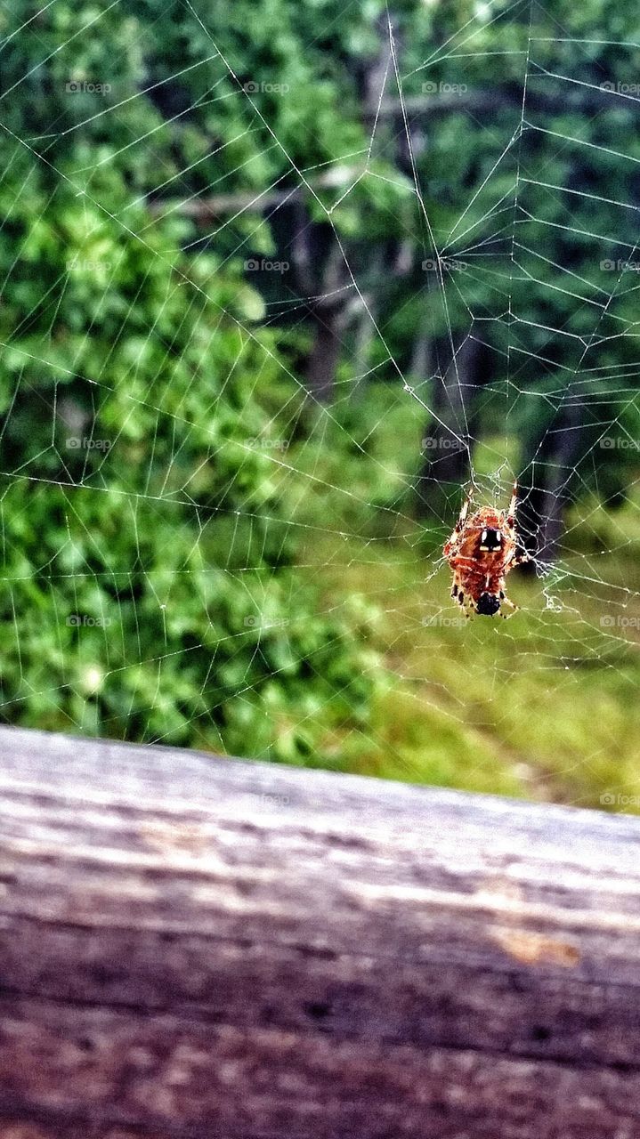 Hanging Around