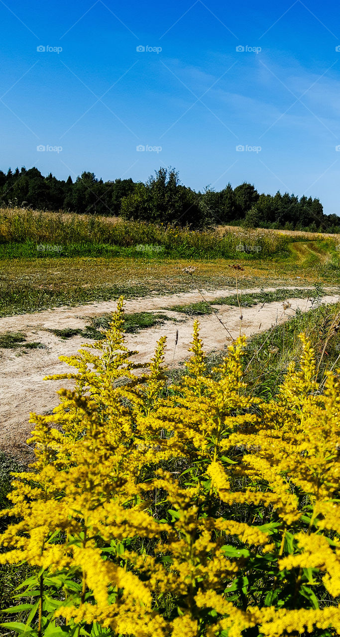 rural road