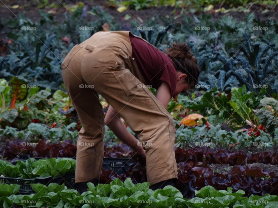 Strong Woman Farmer