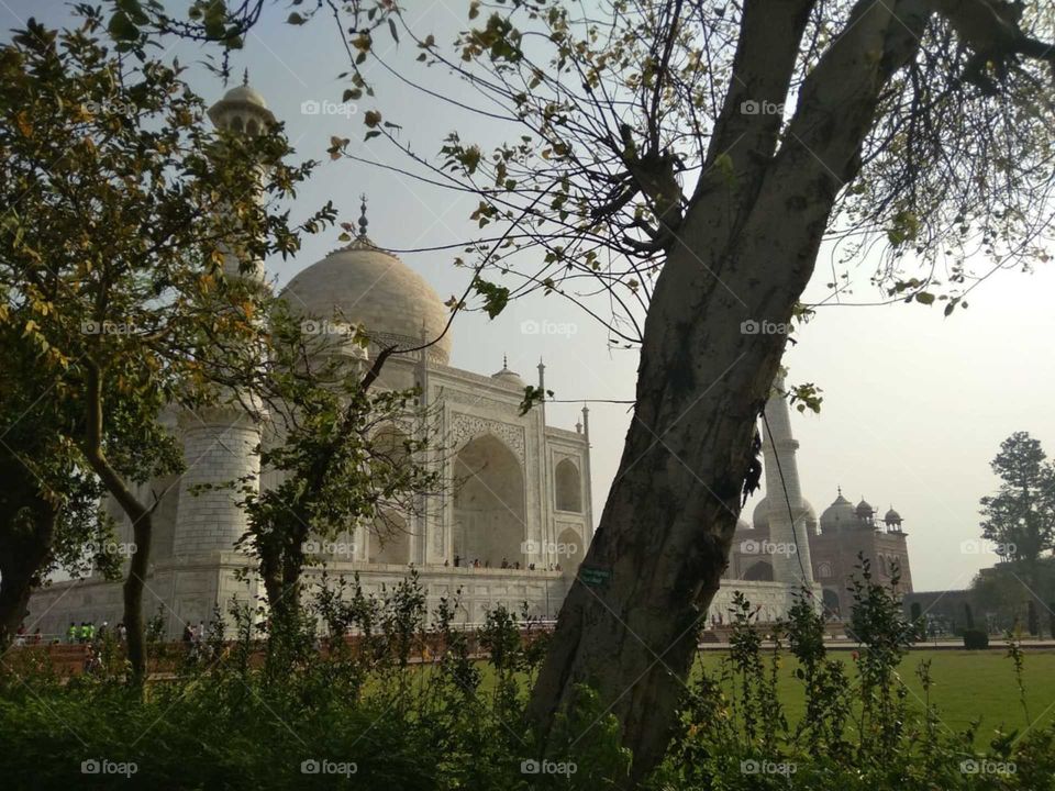 True Nature, No Filter 
#truephotos