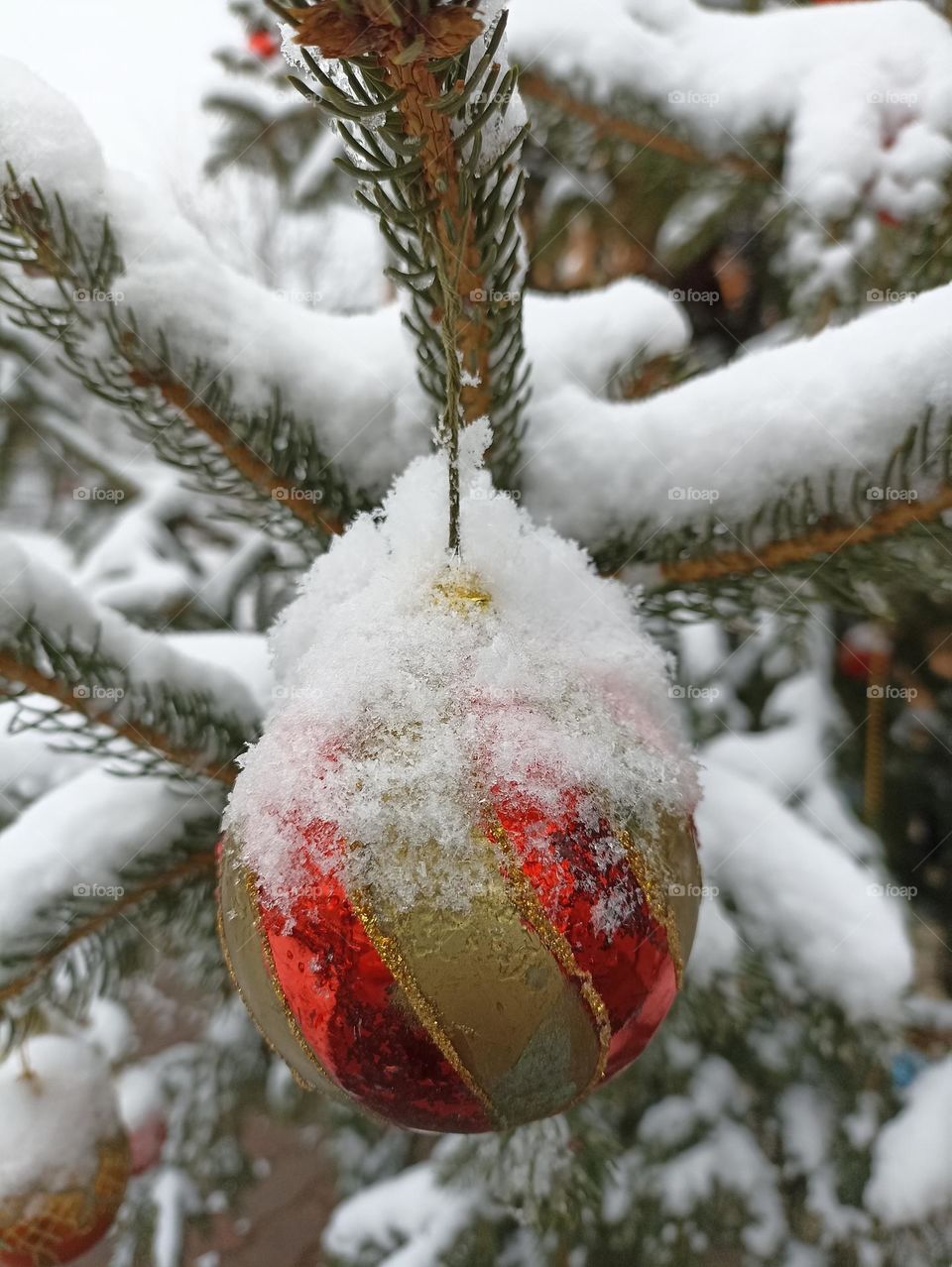 #snow #ornamentals #old #christmas #winter