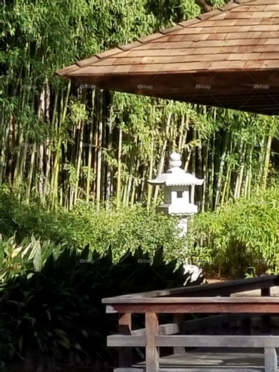 Japanese Gardens at Fort Worth botanical