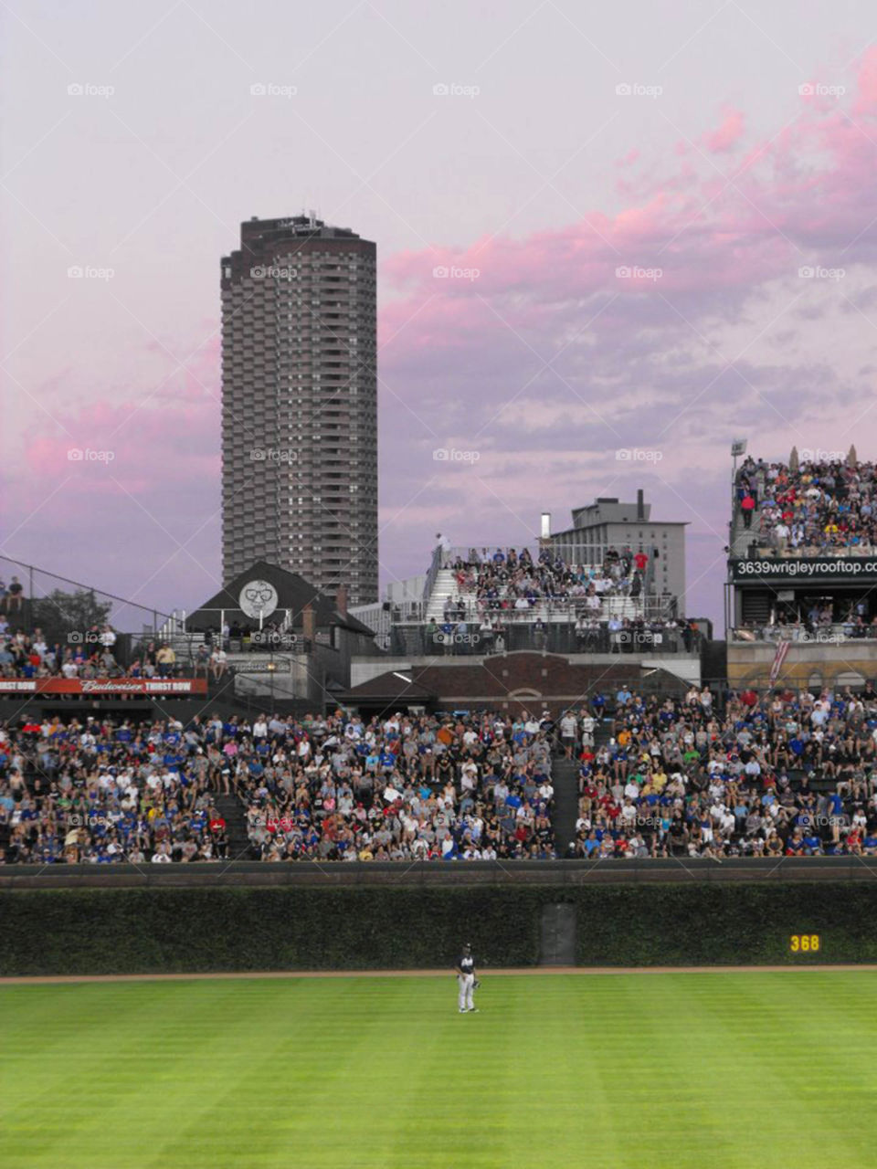 Wrigley Field. crowded grandstand at Wrigley Field during evening game