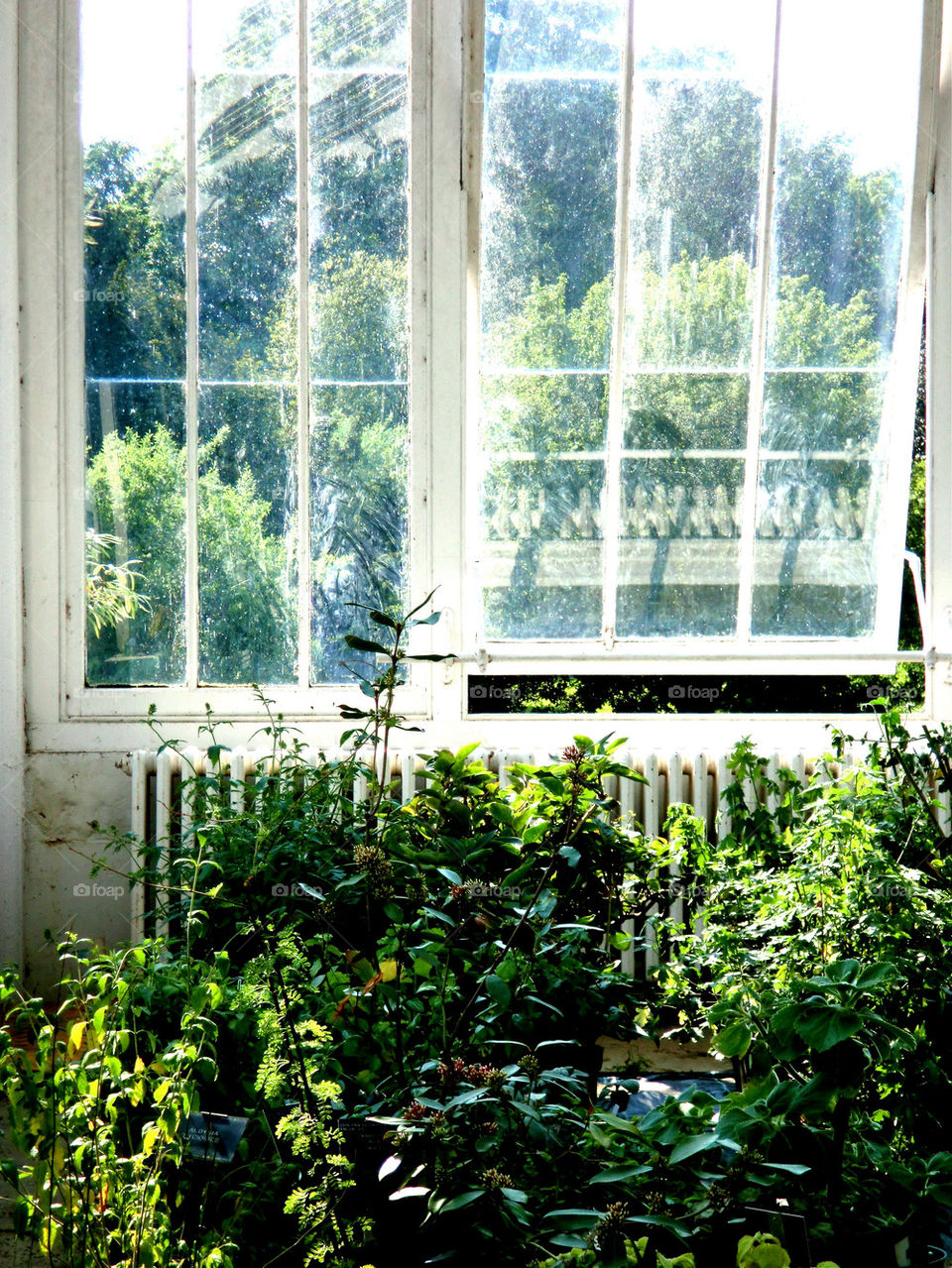 AN OPEN WINDOW TO THE GARDEN