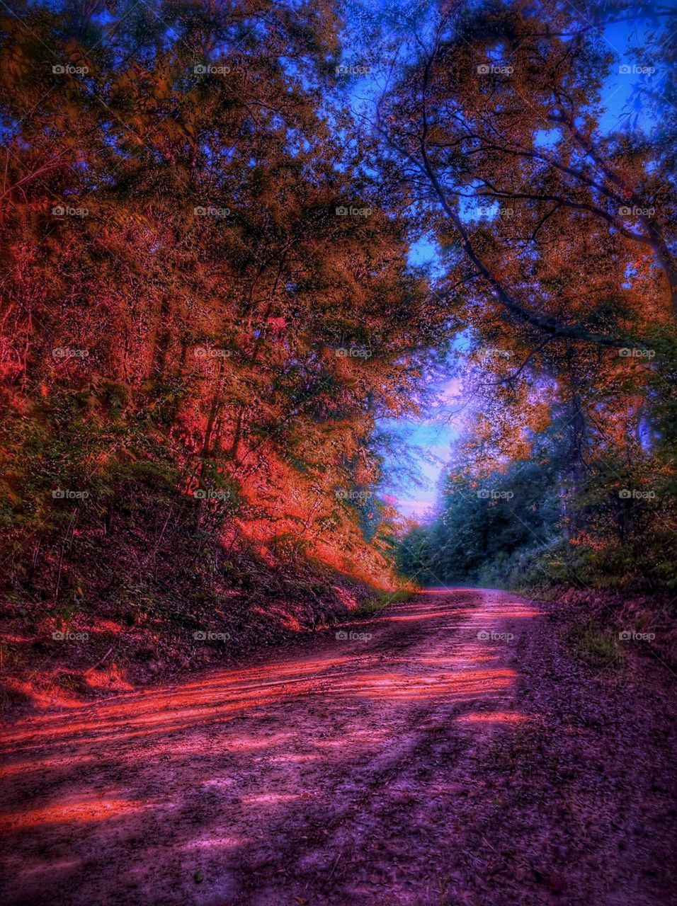 Magic Road