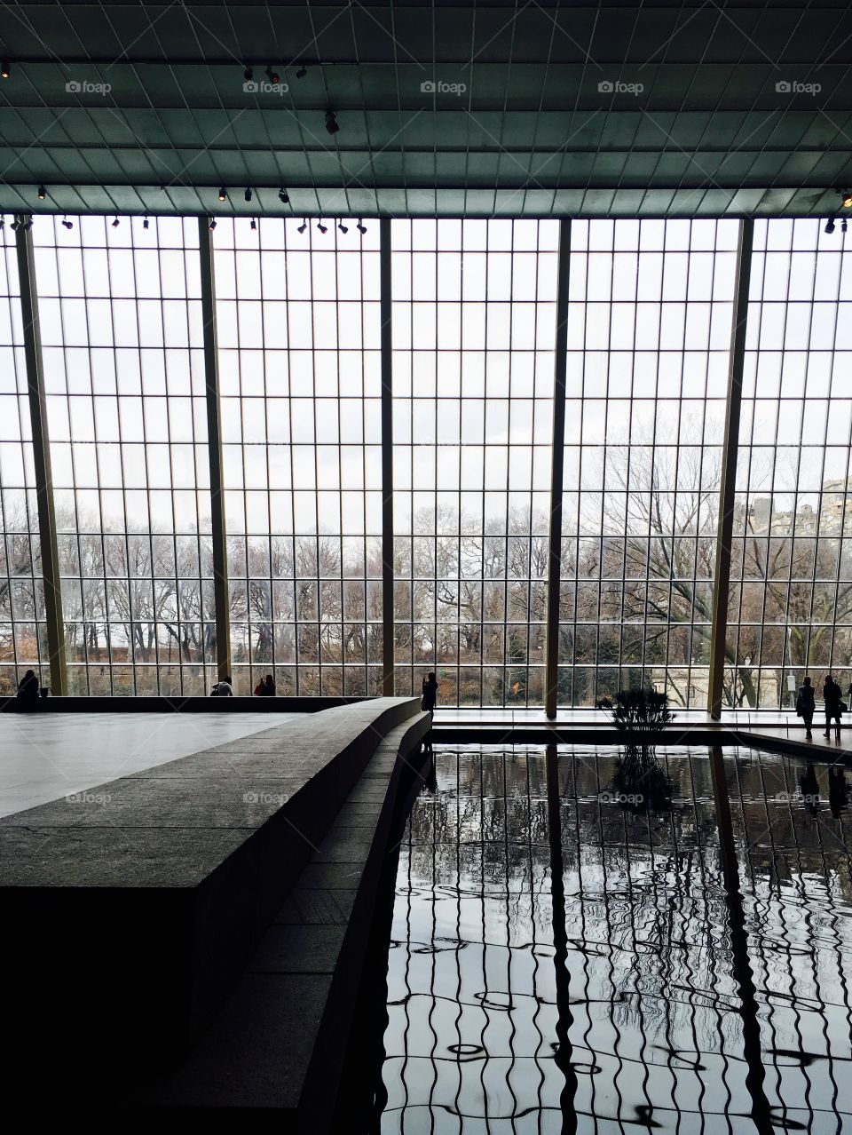 Reflection at the Met