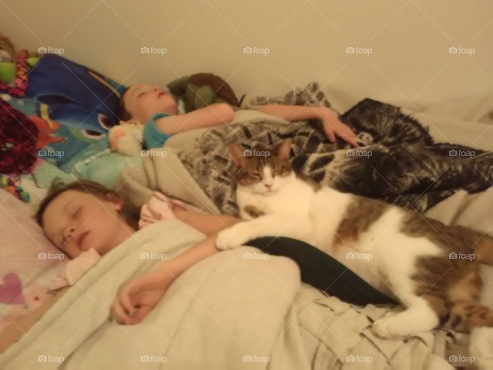 the protector of dreams. he likes to lay next to them to make sure they sleep well. he loves his little cubs even though they are kids. to him is his cubs
