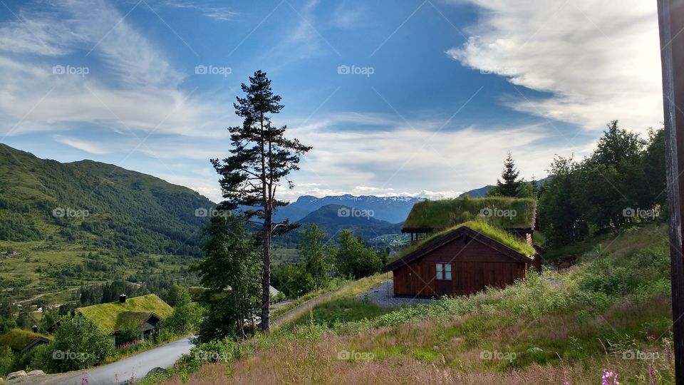 No Person, Mountain, Landscape, Wood, Travel
