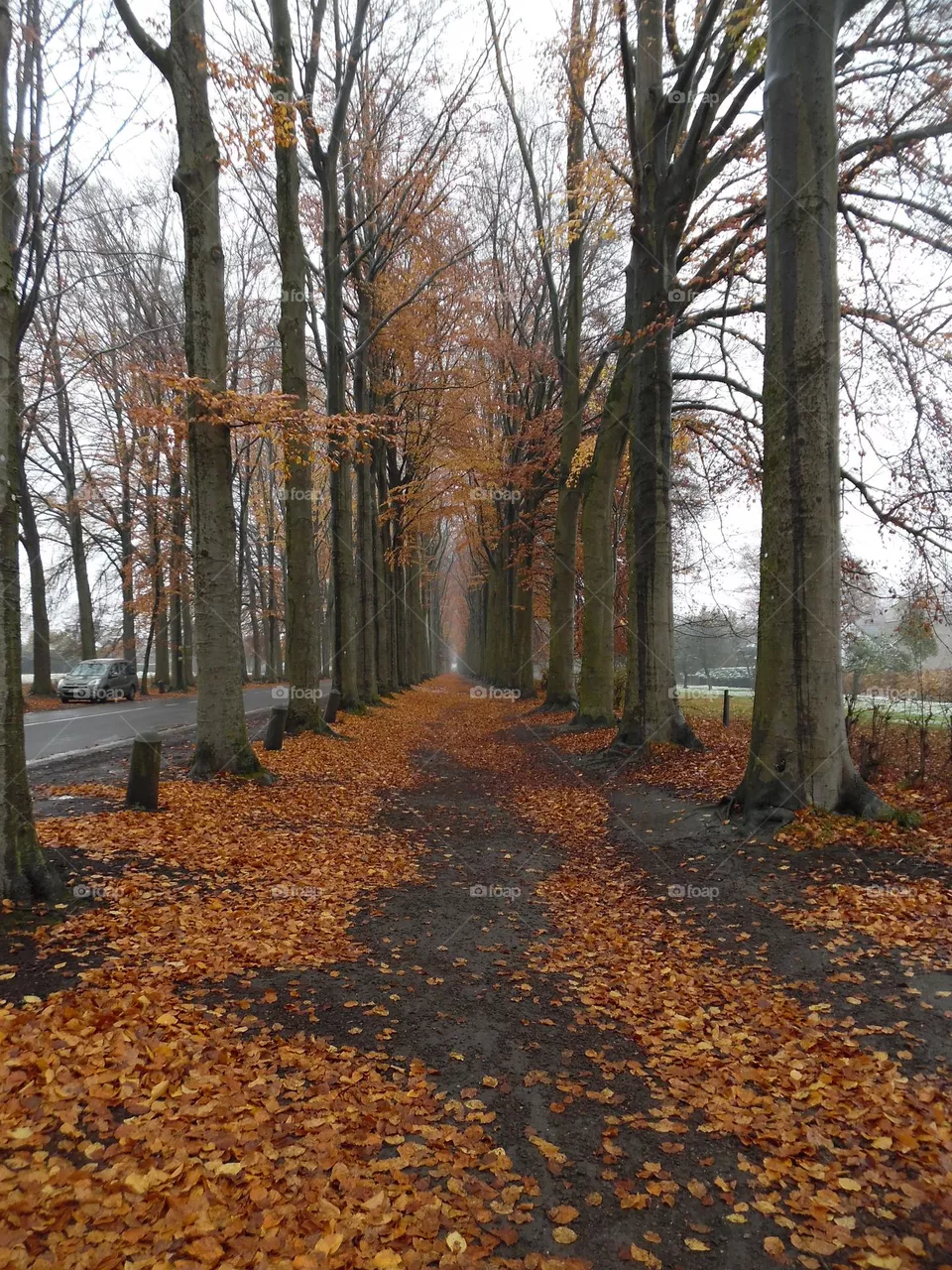 Parc de Mariemont , la Louvière