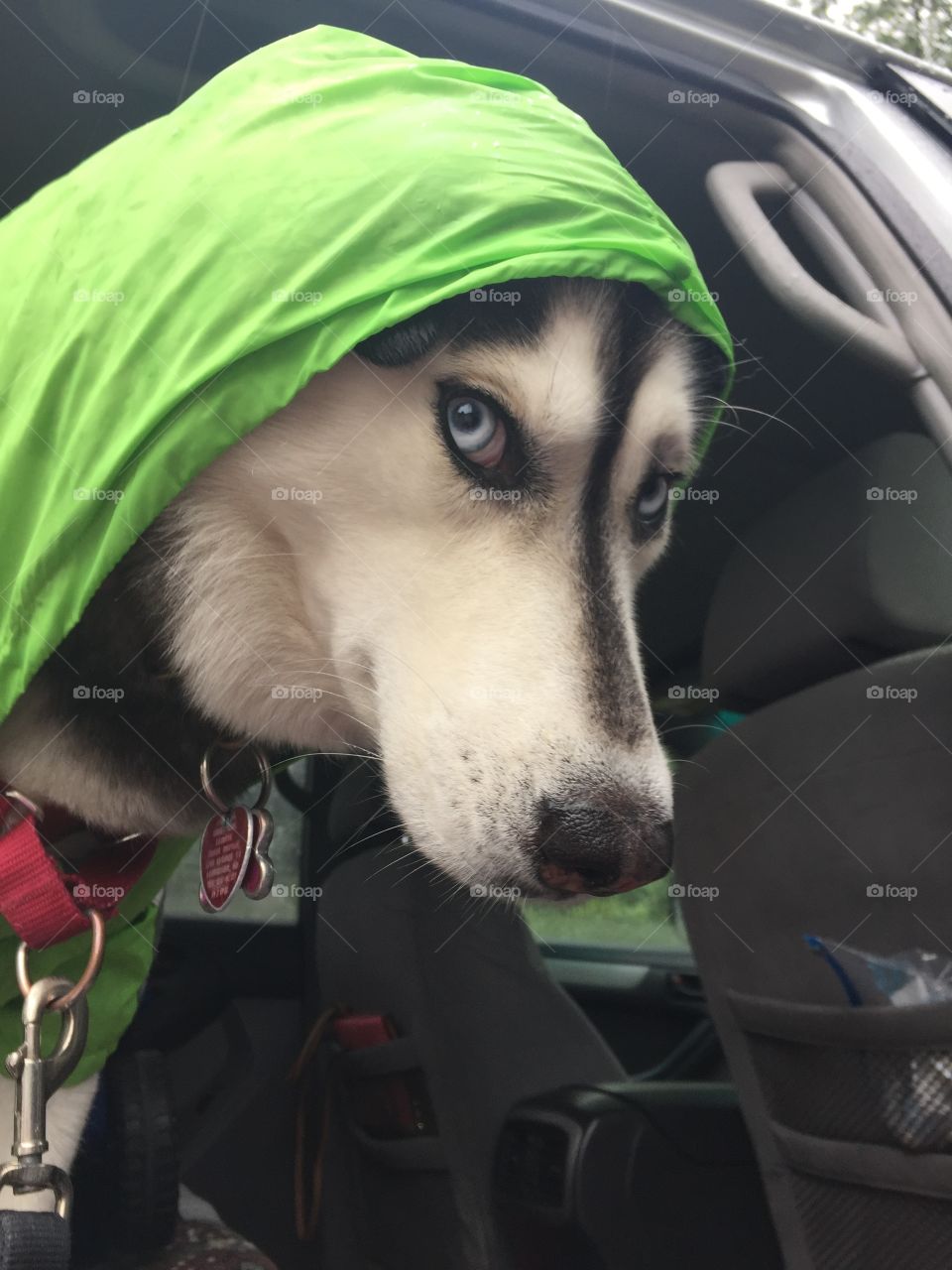 I want to walk, but not with this raincoat!