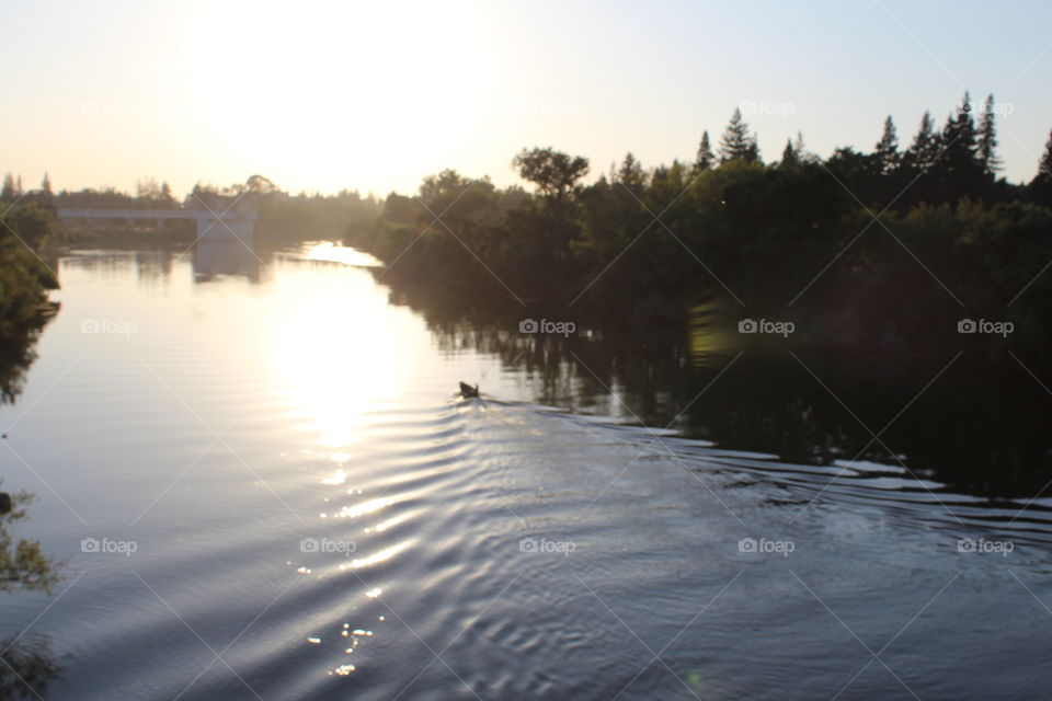 Landscape, Reflection, Water, Lake, River