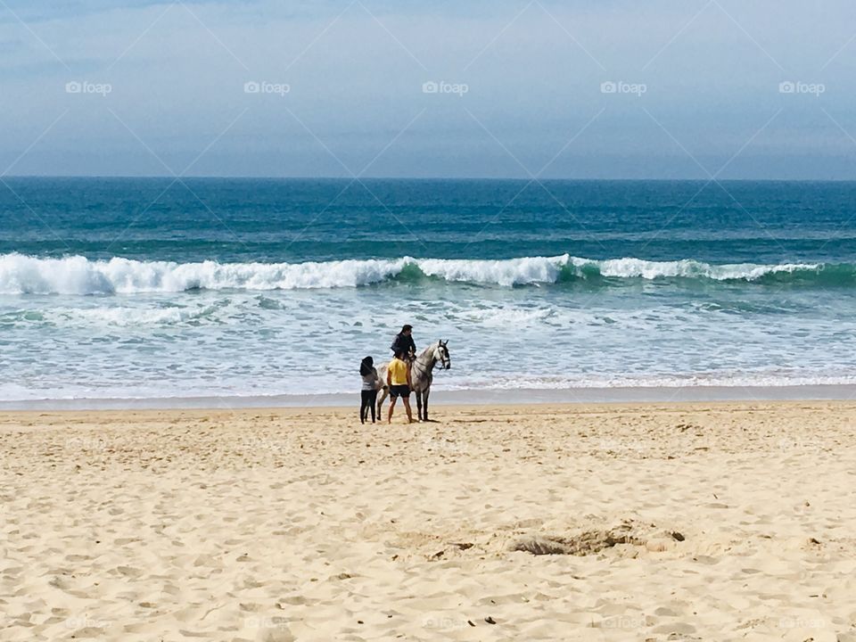 Horse in the Beach 