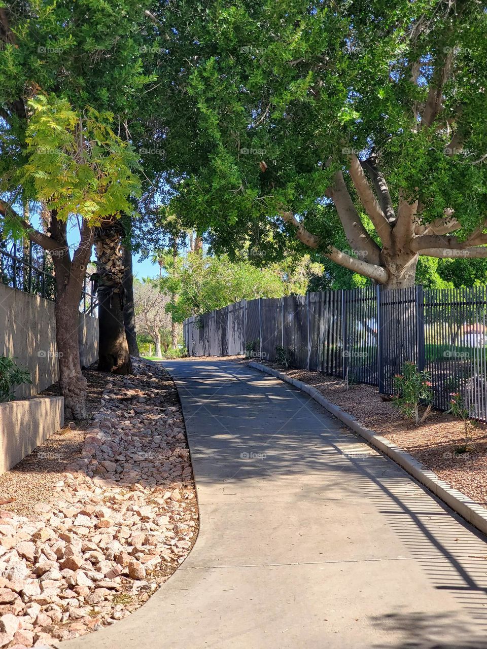 Sidewalk Stroll in Spring