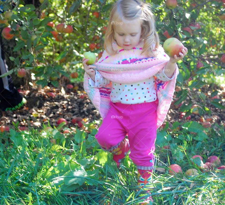 Apple day