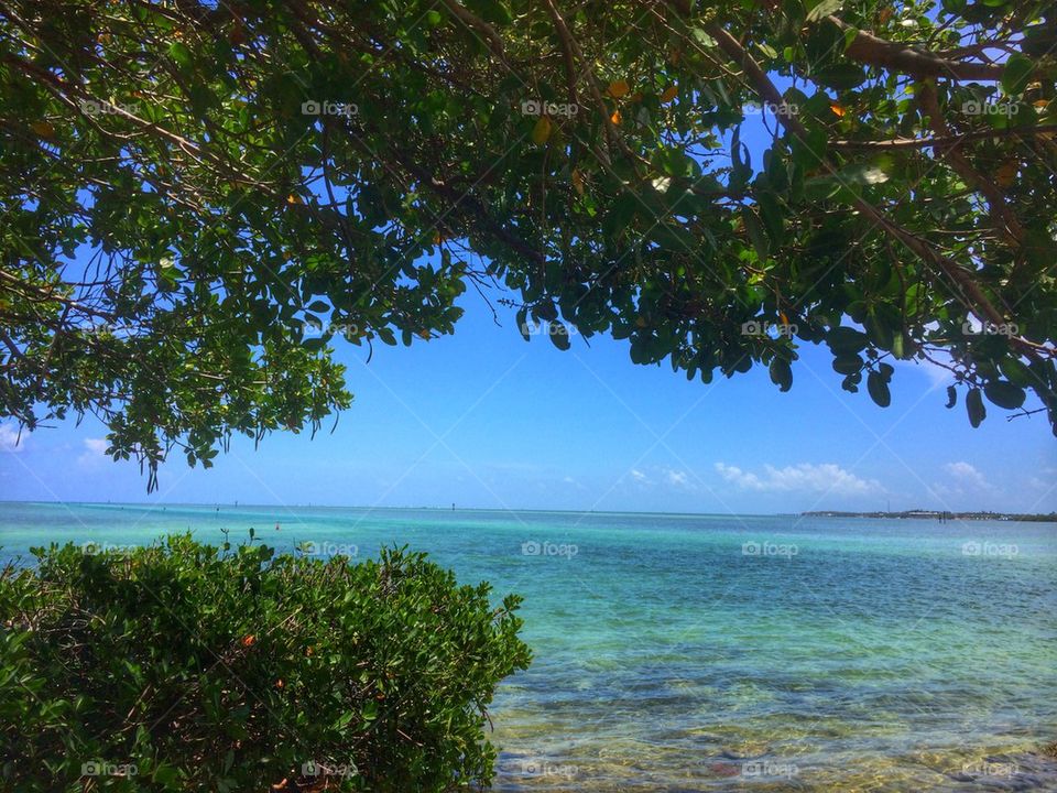 Florida Keys