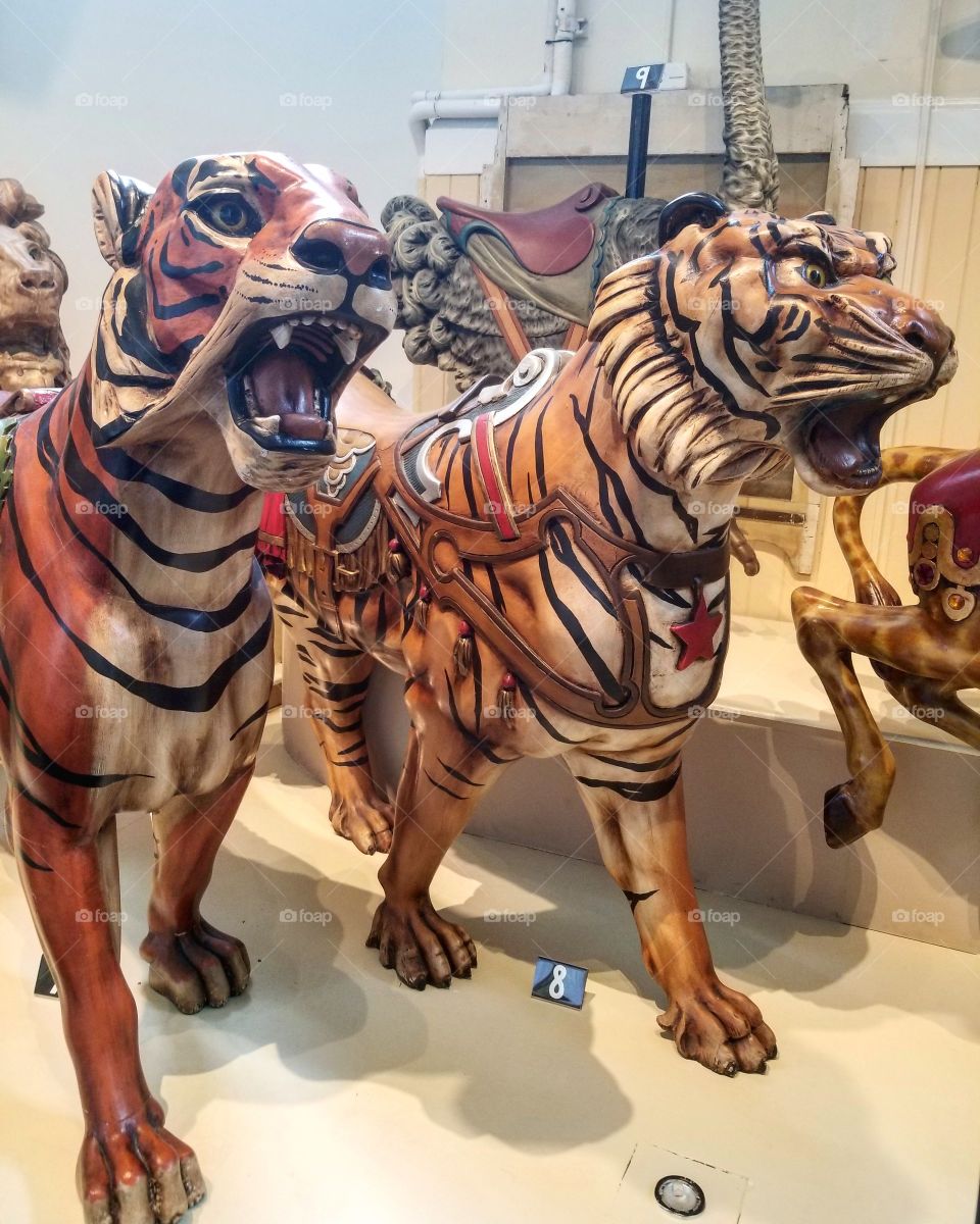 two carved wood tigers formerly part of carousels at a museum in Sandusky, Ohio